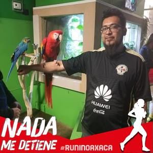 Meet your Posher, Migel